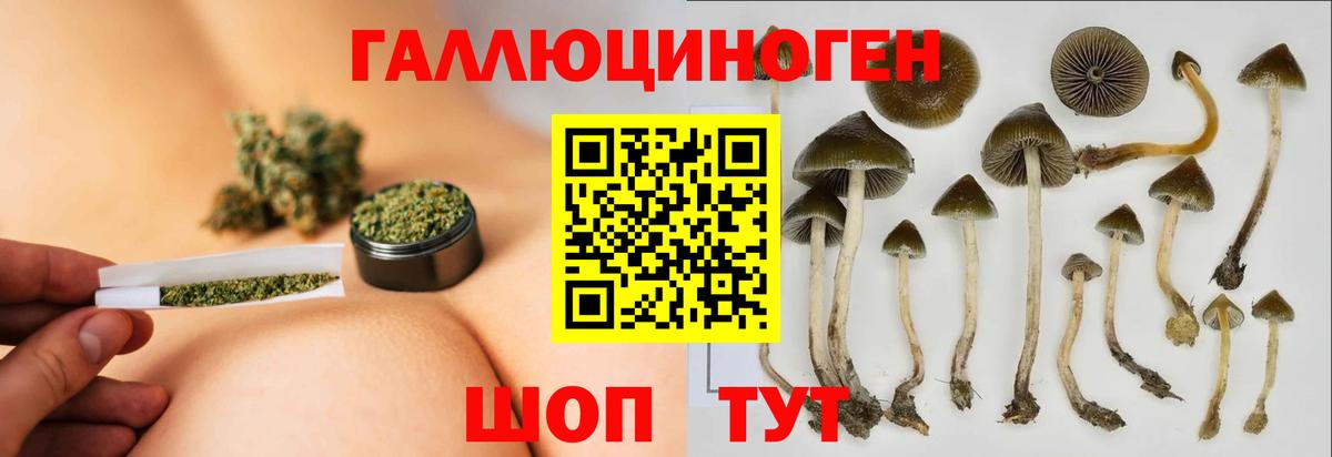 Галлюциногенные грибы ЛСД  Вход с VPN  Похвистнево  Псилоцибиновые грибы Cubensis 