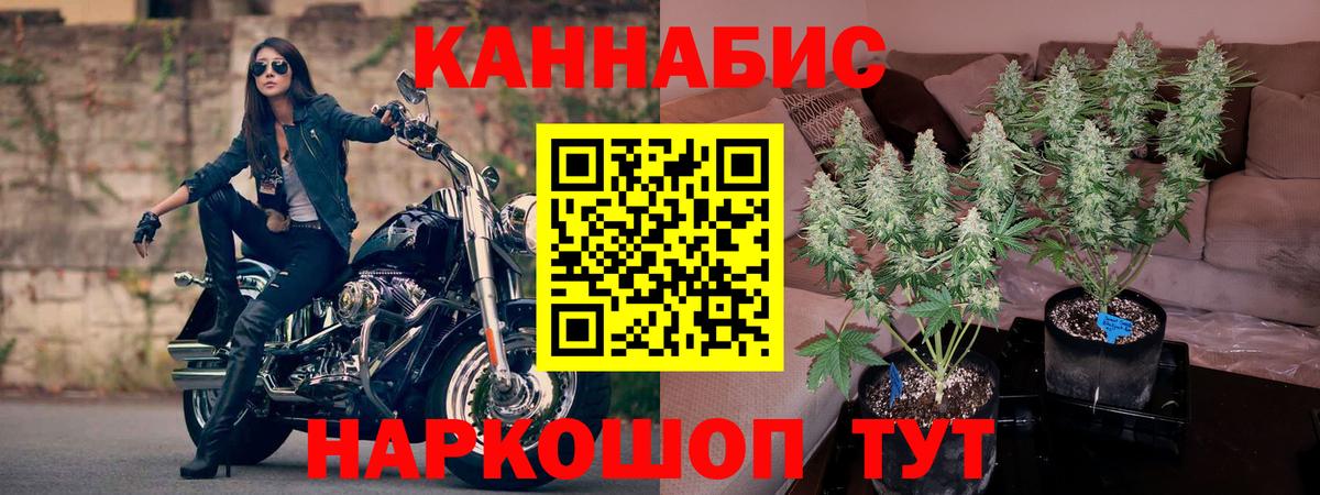 Похвистнево  Канабис ГИДРОПОН  Каннабис конопля  Вход с VPN  Канабис ГИДРОПОН  Каннабис Bruce Banner 